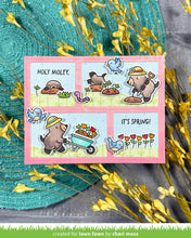 Cargar imagen en el visor de la galería, a mole lot of flowers coloring stencils - Lawn fawn
