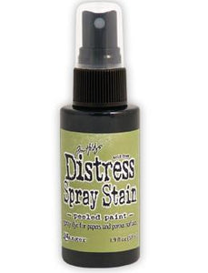 Distress Spray Stain Peeled Pint - TIM HOLTZ